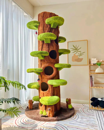 Cat Oasis: Multi-Level Play